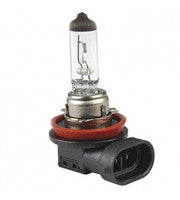 BEC BOSCH ECO H11 12V 55W PGJ19-2